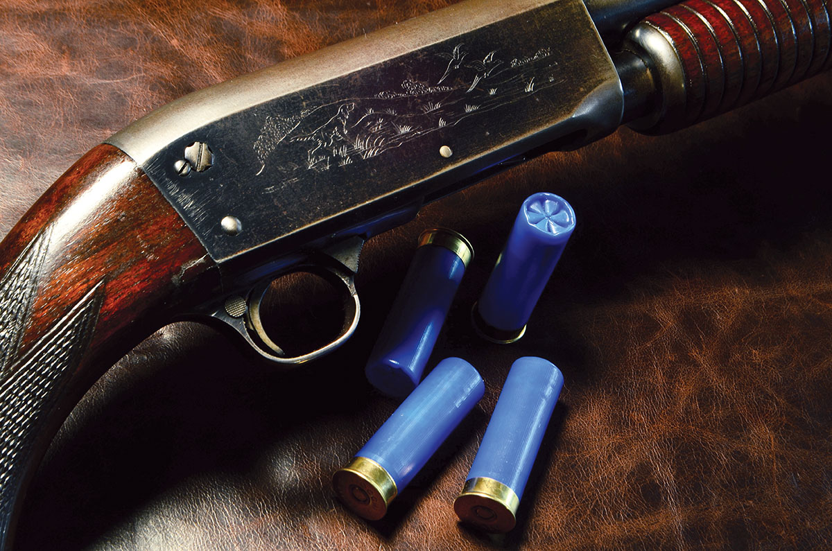 An Ithaca Model 37 16-gauge from 1948. The shotshells are new Fiocchi hulls loaded with bismuth.